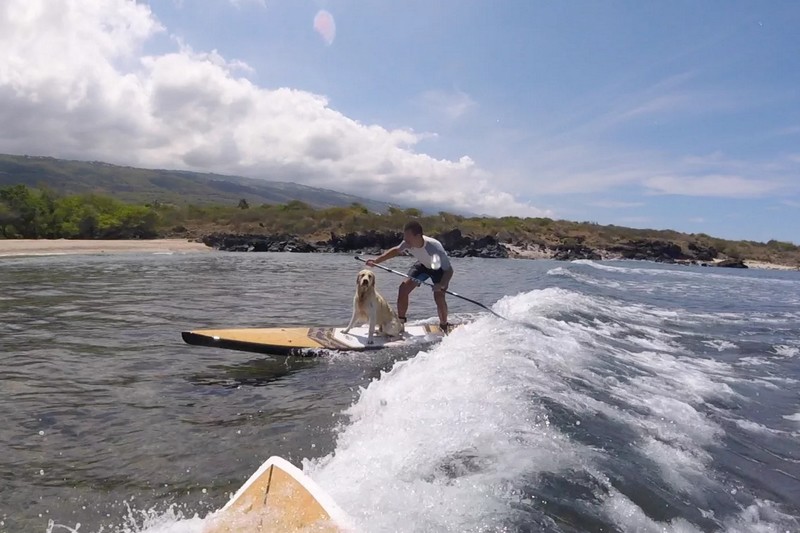 Vidéo : SUP-surfing Doggy style