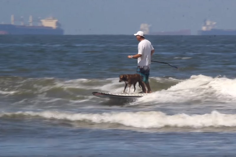 Vidéo : Surf Dog Parafina