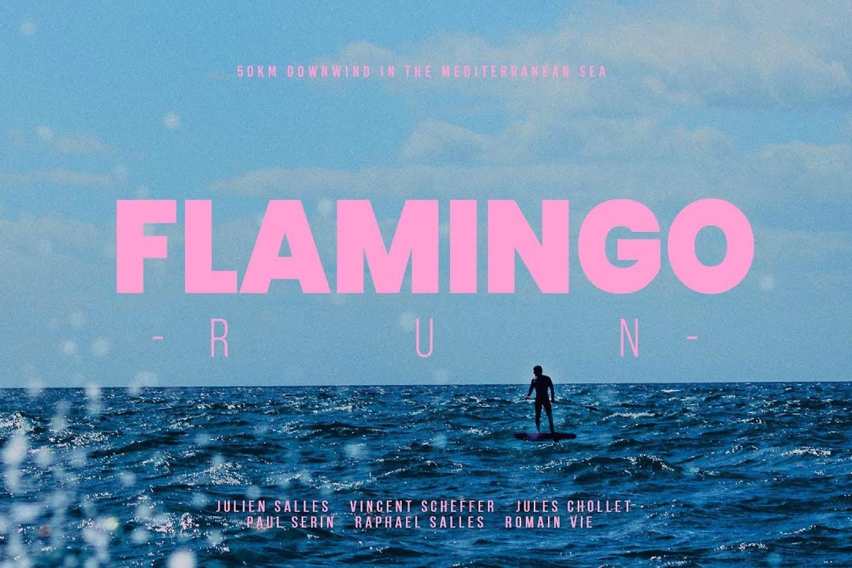 Flamingo Run